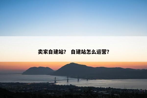 卖家自建站？ 自建站怎么运营？