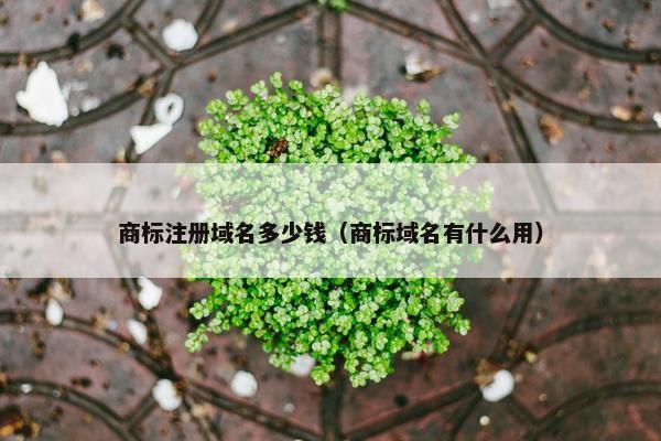 商标注册域名多少钱（商标域名有什么用）