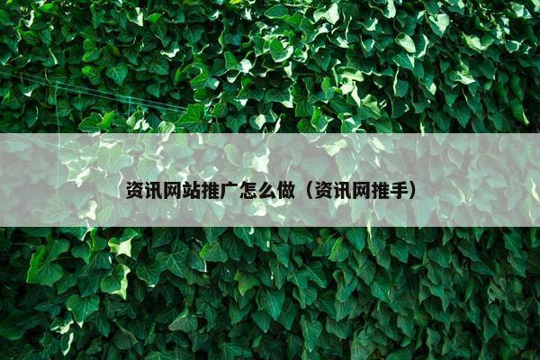 资讯网站推广怎么做（资讯网推手）