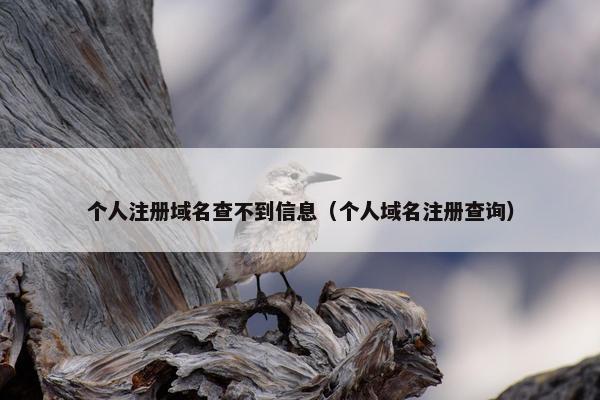 个人注册域名查不到信息（个人域名注册查询）