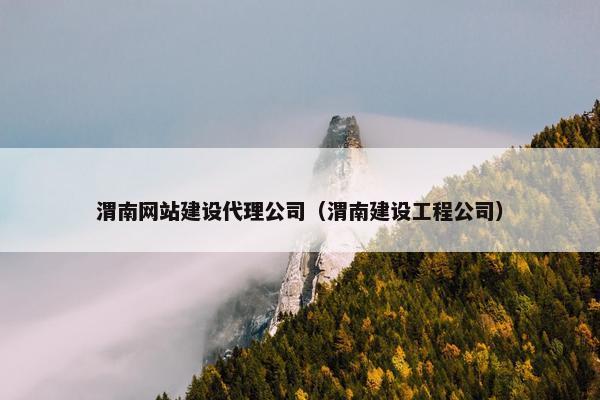 渭南网站建设代理公司（渭南建设工程公司）