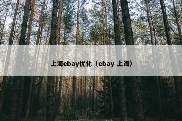 上海ebay优化（ebay 上海）