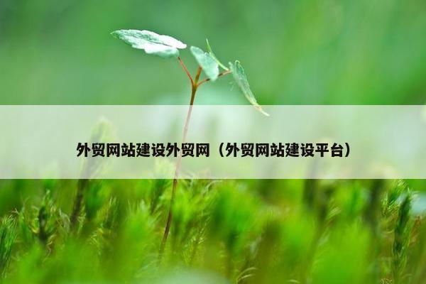 外贸网站建设外贸网（外贸网站建设平台）