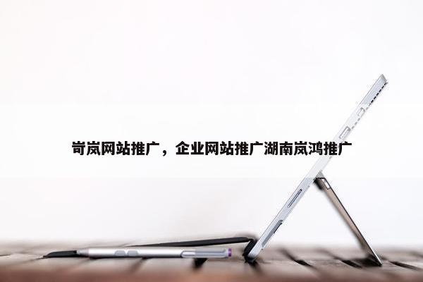 岢岚网站推广，企业网站推广湖南岚鸿推广