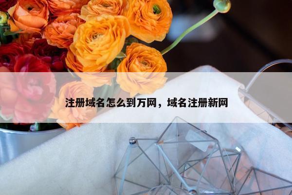 注册域名怎么到万网，域名注册新网