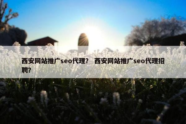 西安网站推广seo代理？ 西安网站推广seo代理招聘？
