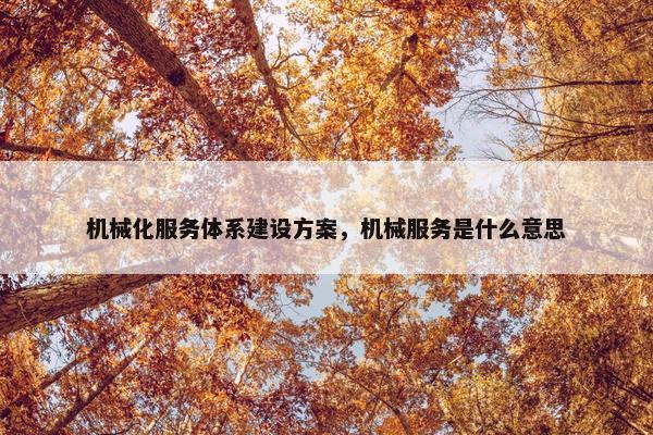 机械化服务体系建设方案，机械服务是什么意思