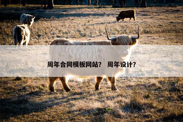 周年合同模板网站？ 周年设计？