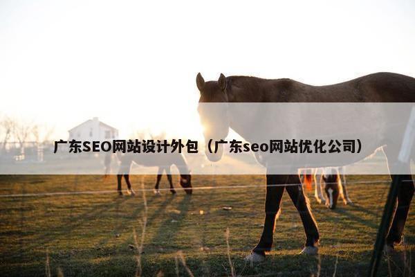 广东SEO网站设计外包（广东seo网站优化公司）