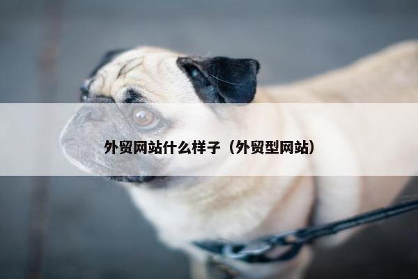 外贸网站什么样子（外贸型网站）