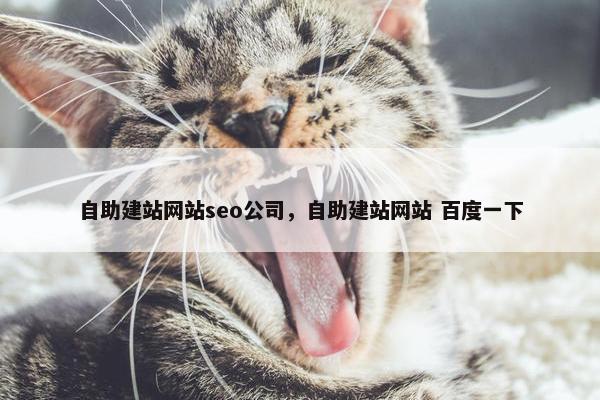 自助建站网站seo公司，自助建站网站 百度一下