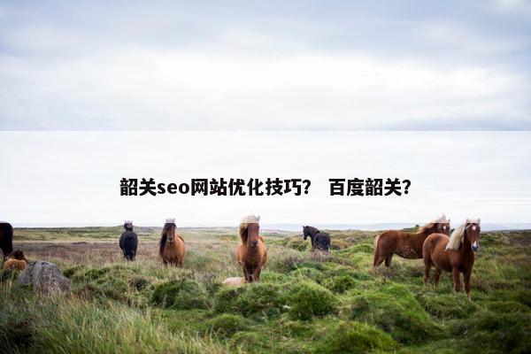 韶关seo网站优化技巧？ 百度韶关？