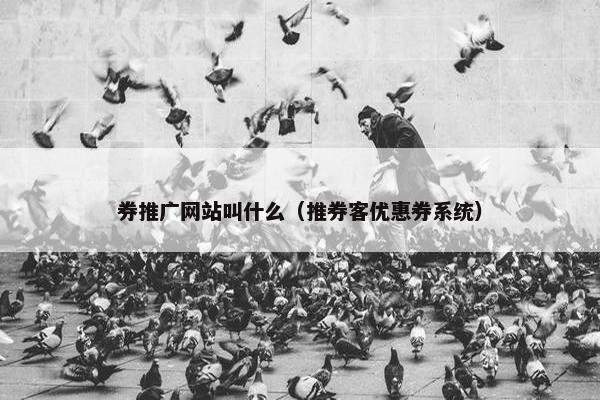 券推广网站叫什么（推券客优惠券系统）