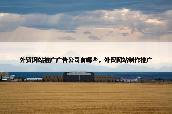 外贸网站推广广告公司有哪些，外贸网站制作推广