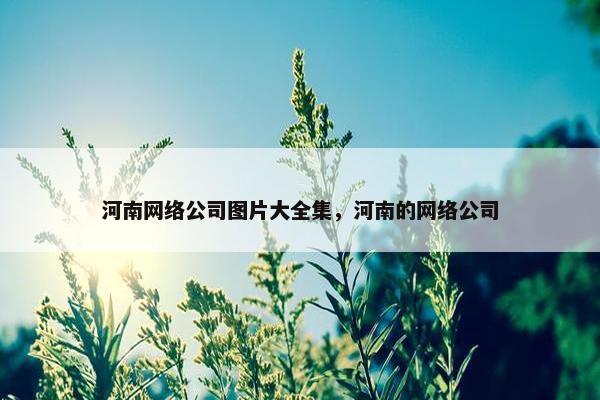 河南网络公司图片大全集，河南的网络公司