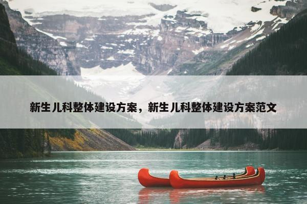 新生儿科整体建设方案，新生儿科整体建设方案范文