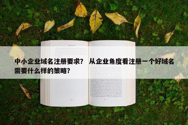 中小企业域名注册要求？ 从企业角度看注册一个好域名需要什么样的策略？