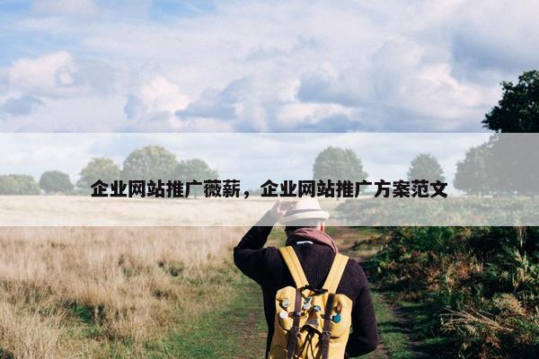 企业网站推广薇薪，企业网站推广方案范文