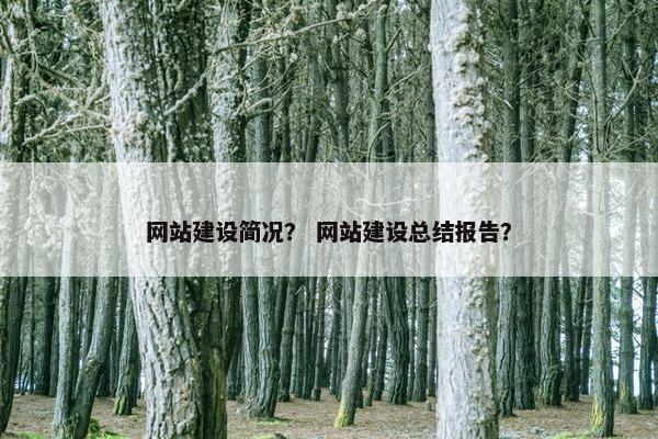 网站建设简况？ 网站建设总结报告？