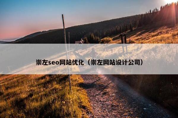 崇左seo网站优化（崇左网站设计公司）