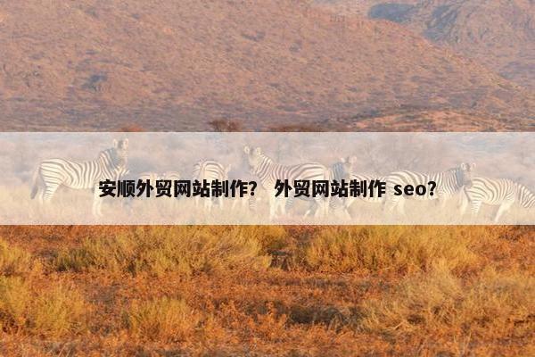 安顺外贸网站制作？ 外贸网站制作 seo？