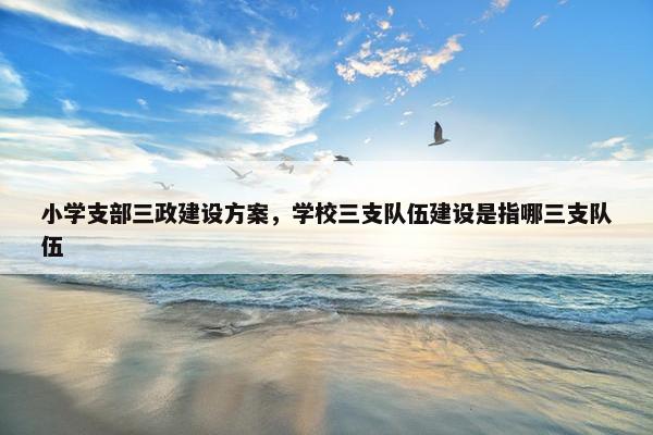 小学支部三政建设方案，学校三支队伍建设是指哪三支队伍