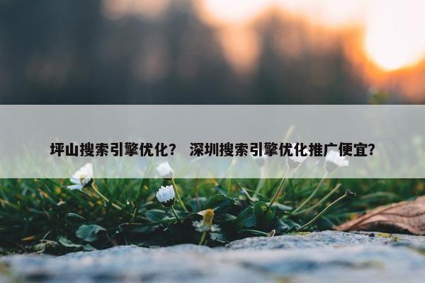 坪山搜索引擎优化？ 深圳搜索引擎优化推广便宜？