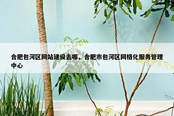 合肥包河区网站建设去哪，合肥市包河区网格化服务管理中心