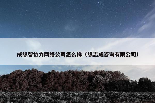 成纵智协力网络公司怎么样（纵志成咨询有限公司）