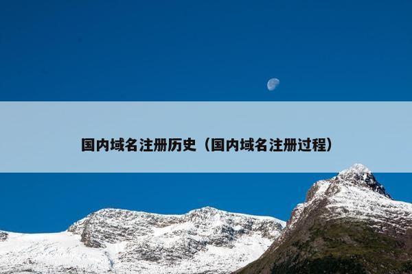 国内域名注册历史（国内域名注册过程）