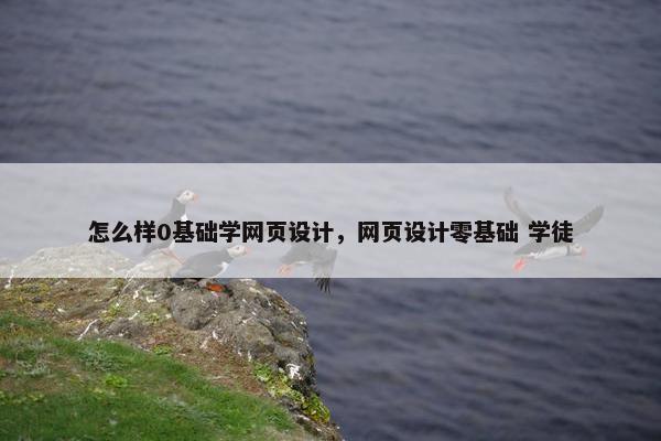 怎么样0基础学网页设计，网页设计零基础 学徒
