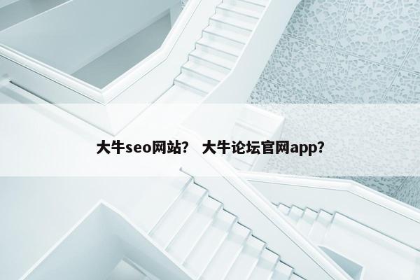 大牛seo网站？ 大牛论坛官网app？