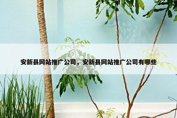 安新县网站推广公司，安新县网站推广公司有哪些