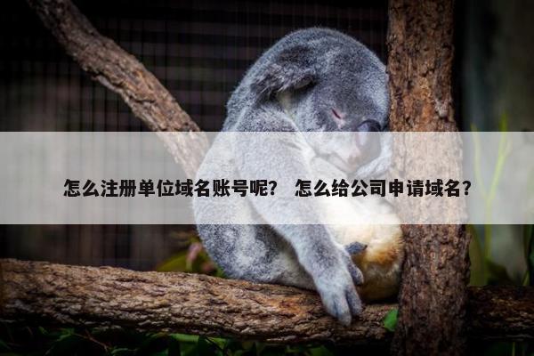 怎么注册单位域名账号呢？ 怎么给公司申请域名？