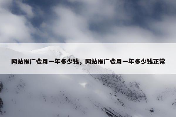 网站推广费用一年多少钱，网站推广费用一年多少钱正常