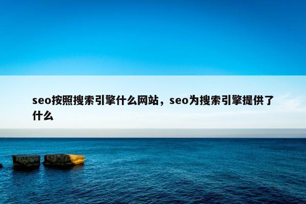 seo按照搜索引擎什么网站，seo为搜索引擎提供了什么