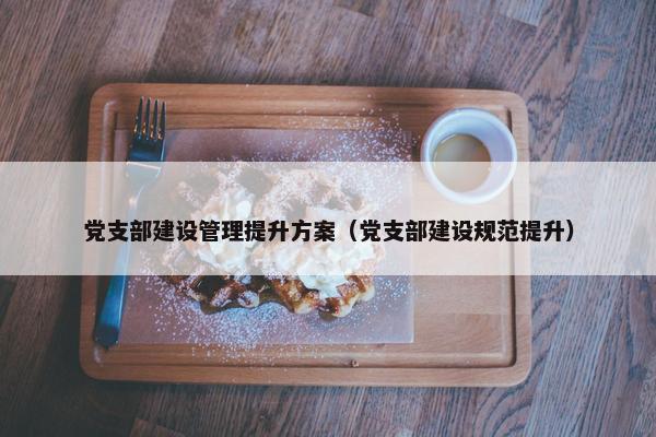 党支部建设管理提升方案（党支部建设规范提升）