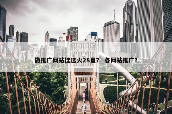 做推广网站佳选火28星？ 各网站推广？