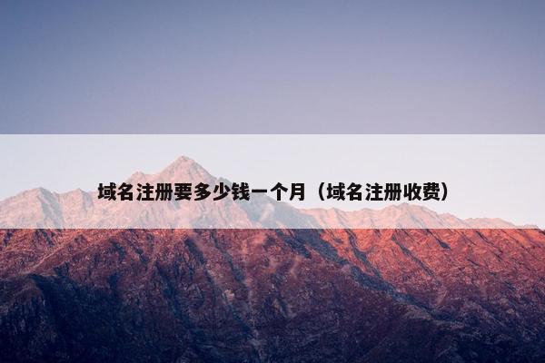 域名注册要多少钱一个月（域名注册收费）