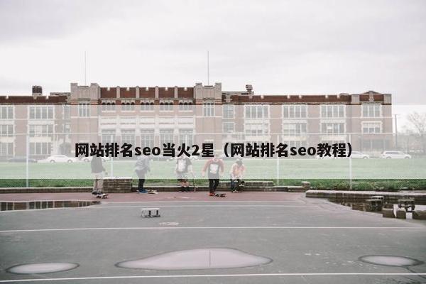 网站排名seo当火2星（网站排名seo教程）