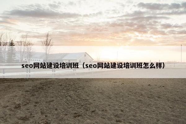 seo网站建设培训班（seo网站建设培训班怎么样）