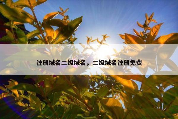 注册域名二级域名，二级域名注册免费