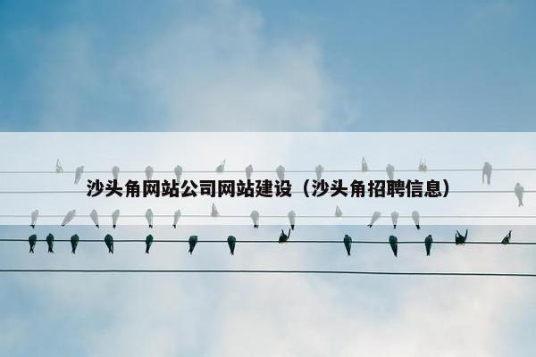 沙头角网站公司网站建设（沙头角招聘信息）