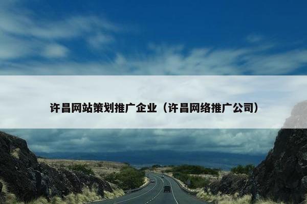 许昌网站策划推广企业（许昌网络推广公司）