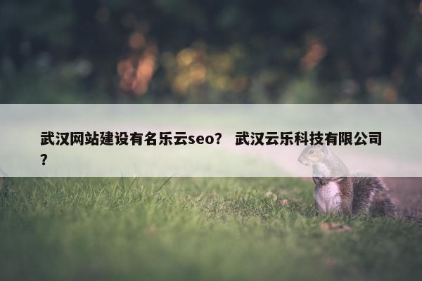 武汉网站建设有名乐云seo？ 武汉云乐科技有限公司？