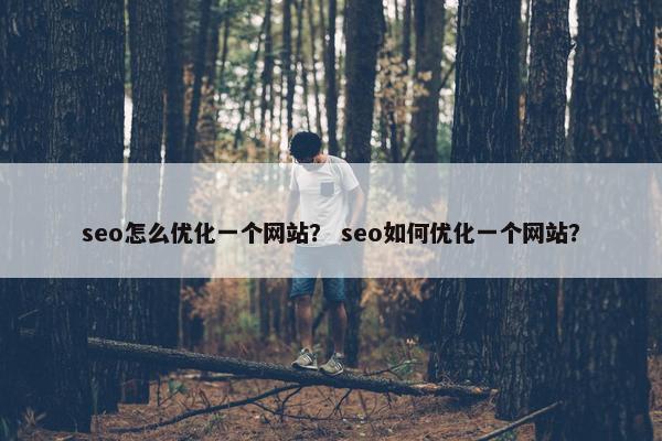 seo怎么优化一个网站？ seo如何优化一个网站？