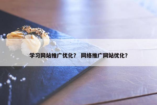 学习网站推广优化？ 网络推广网站优化？