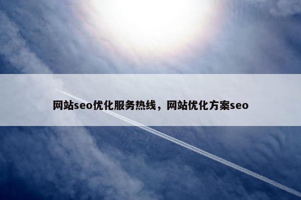 网站seo优化服务热线，网站优化方案seo