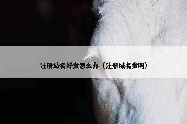 注册域名好贵怎么办（注册域名贵吗）