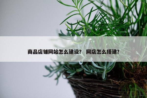 商品店铺网站怎么建设？ 网店怎么搭建？